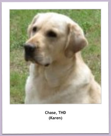 Chase, THD (Karen)