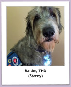 Raider, THD (Stacey)