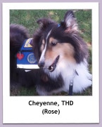 Cheyenne, THD (Rose)