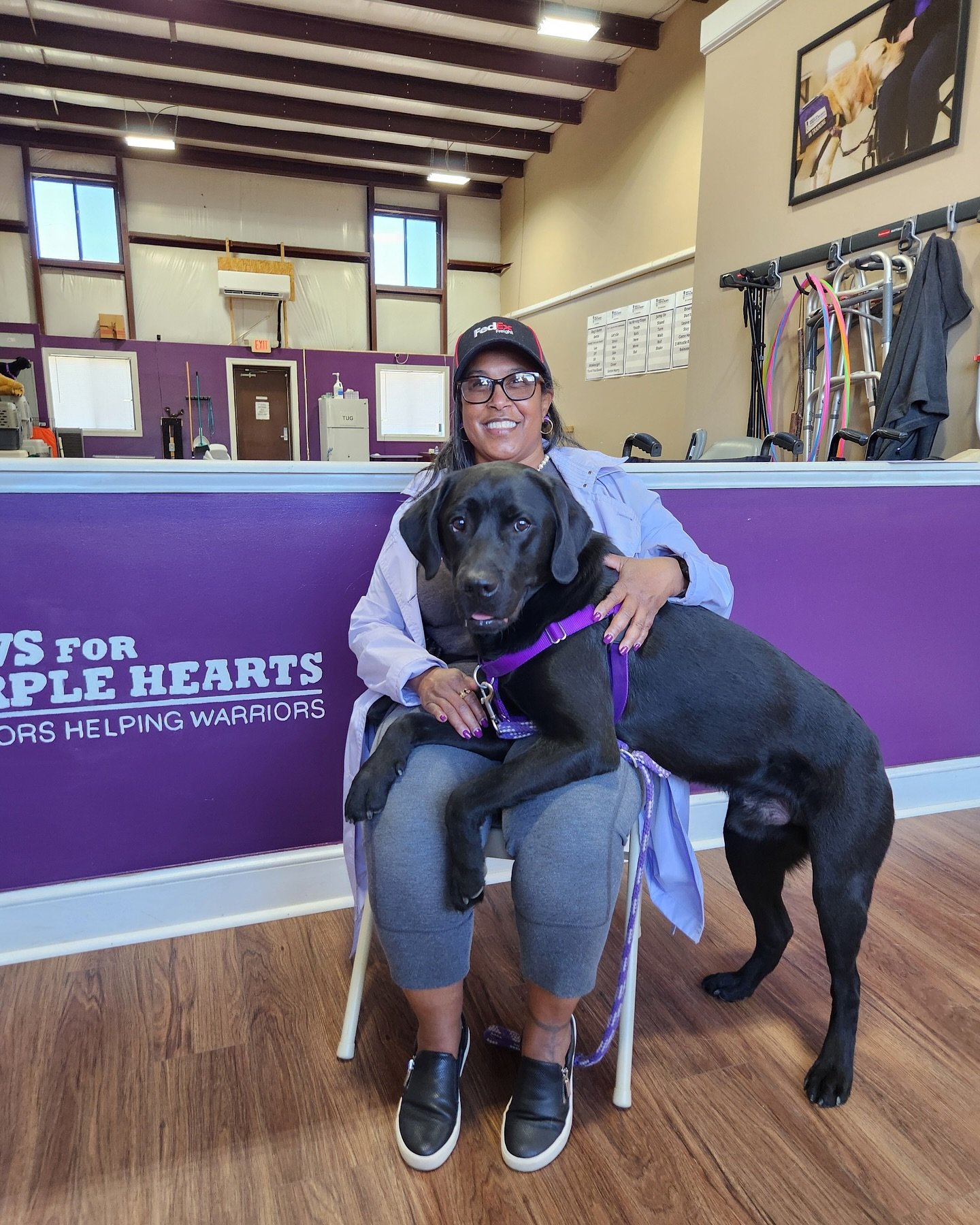 A woman with glasses and a dark cap sitting on a chair, holding a large black dog with a purple harness, inside a room with purple and beige walls, wood flooring, and various pet-related equipment.